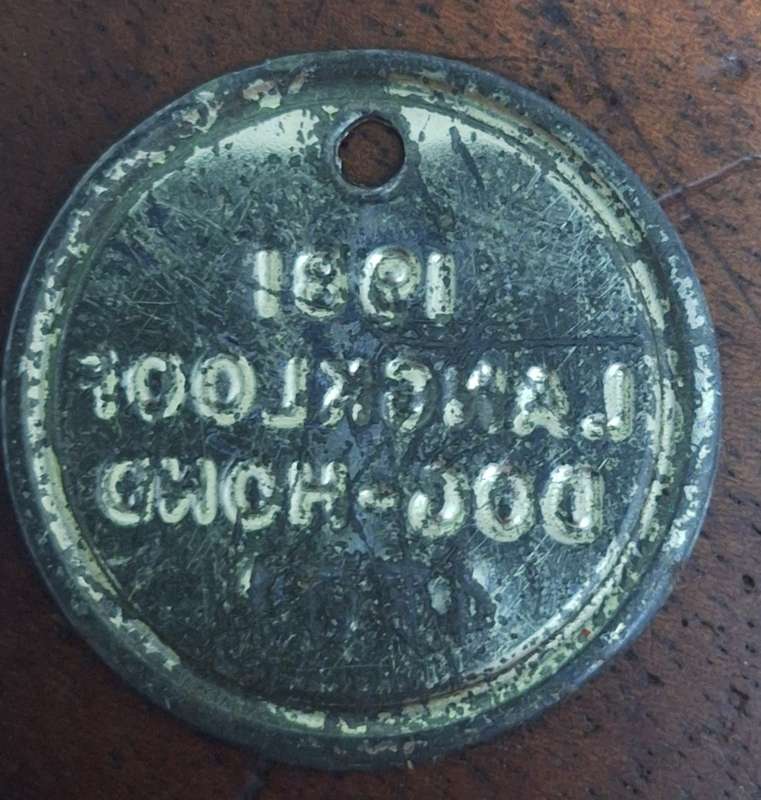 VINTAGE 1981 DOG LICENCE - LANGKLOOF