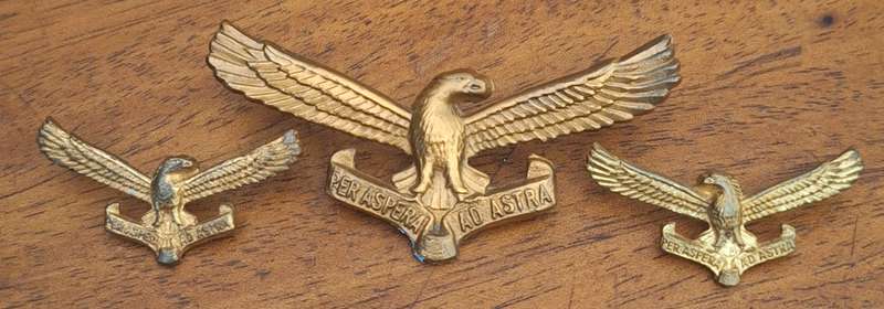 SAAF CAP AND COLLAR BADGES SET - SCREWS / PINS INTACT