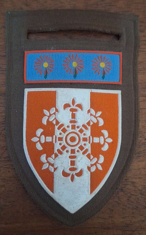 SADF PERS SERVICES SHOULDER FLASH - PIN INTACT