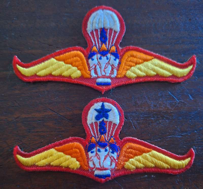 LOT OF 2 X THAILAND PARA WINGS - BASIC / SENIOR