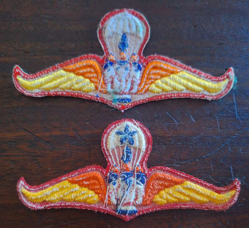LOT OF 2 X THAILAND PARA WINGS - BASIC / SENIOR