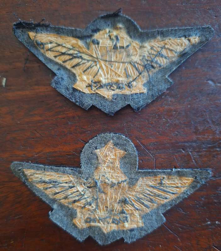 LOT OF 2 X SINGAPUR PARA WINGS - BASIC / SENIOR - BULLION WIRE