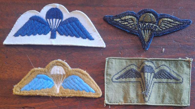 LOT OF 4 X WORLD PARA WINGS #1