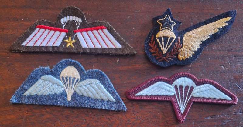 LOT OF 4 X WORLD PARA WINGS #2