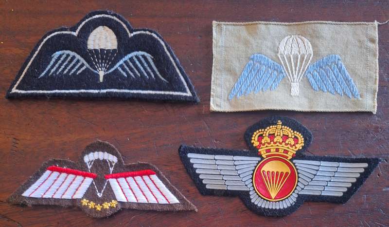 LOT OF 4 X WORLD PARA WINGS #3