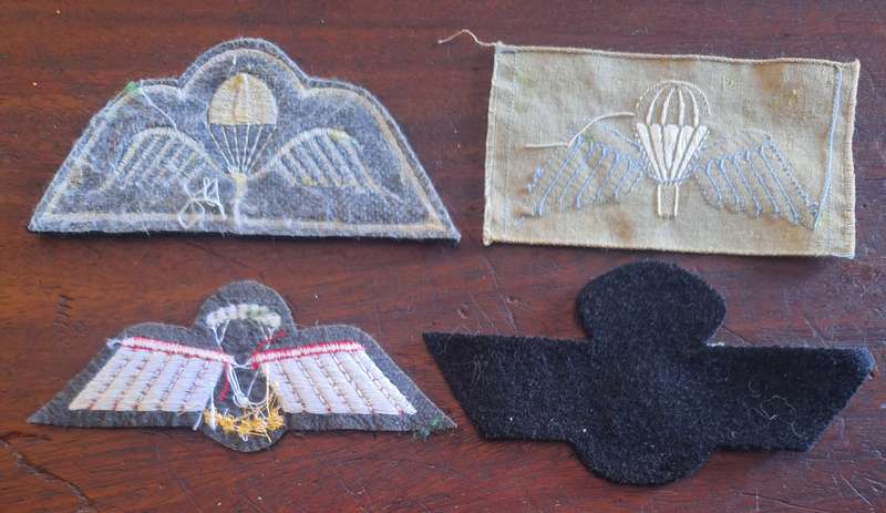 LOT OF 4 X WORLD PARA WINGS #3
