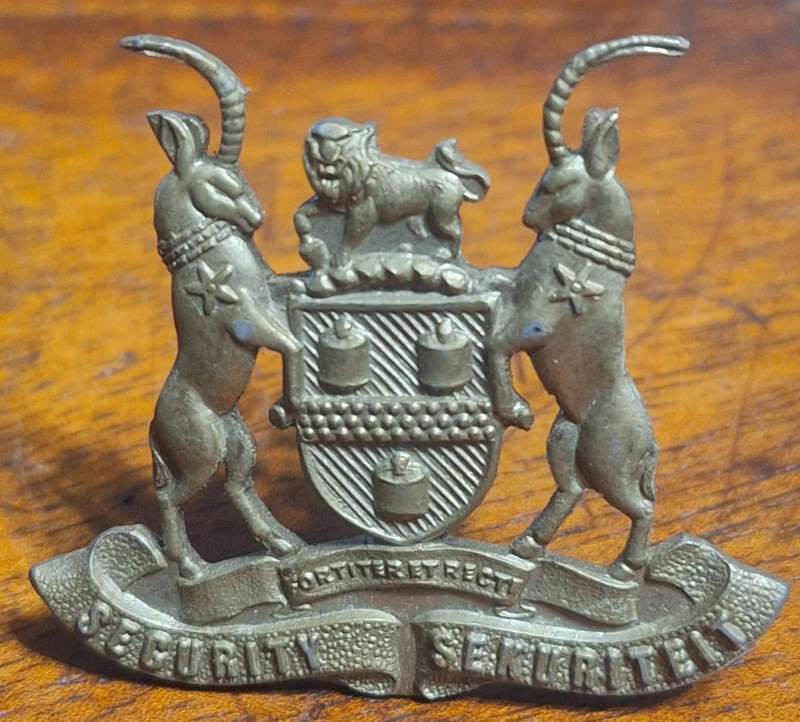 JOHANNESBURG SECURITY CAP BADGE