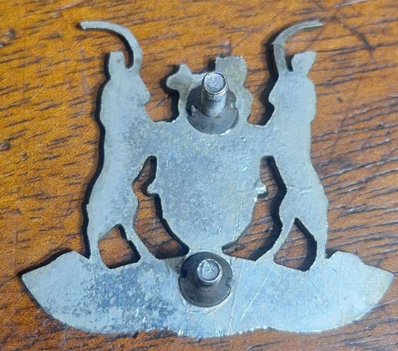 JOHANNESBURG SECURITY CAP BADGE