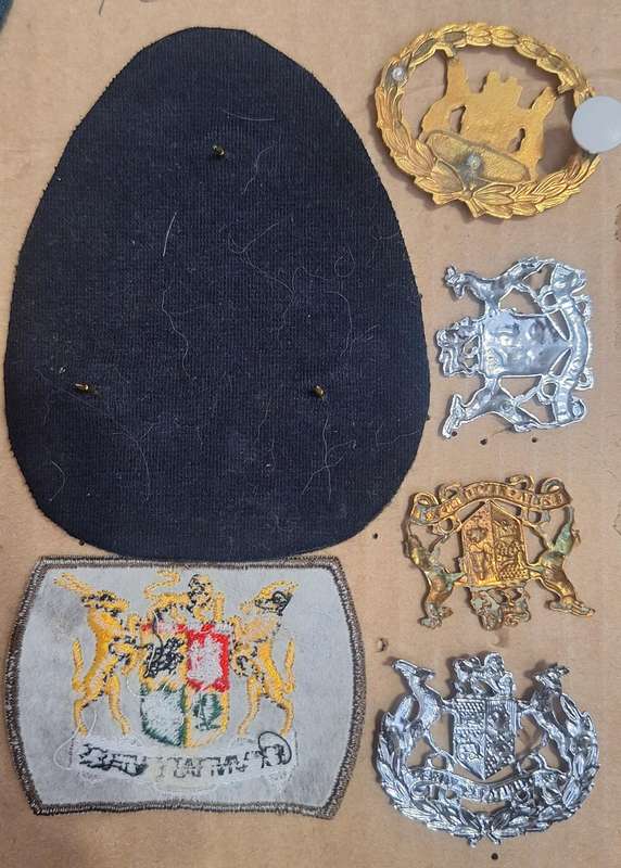 MILITARIA ODD LOT - ONLY 1 BROKEN PIN.