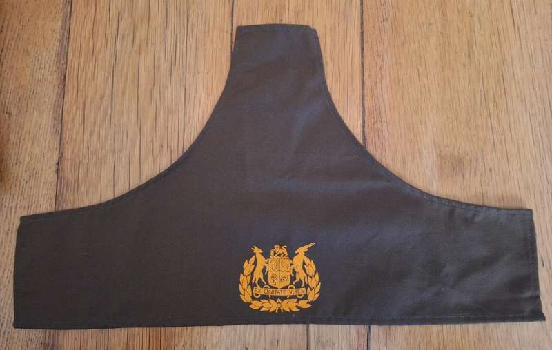SADF - SINGLE NUTRIA WO1 BRASSARD (PRINTED TYPE)