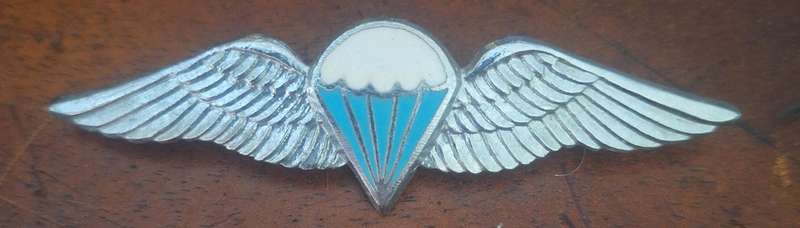 SADF - 50 JUMPS / DESPATCHER PARA WING - ALL PINS INTACT