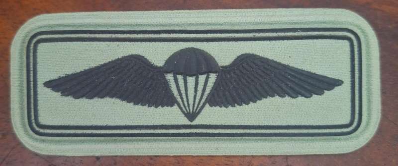 SANDF - PARA WING (FIELD DRESS) - ALL PINS INTACT