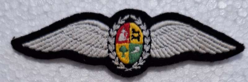 SAAF - PRE 1994 EMBROIDERED PILOT WING WITH 2 PINS