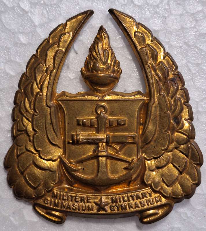 SADF - ARMY GYMNASIUM LARGE TYPE (6CM) GILDING CAP BADGE - LUGS INTACT