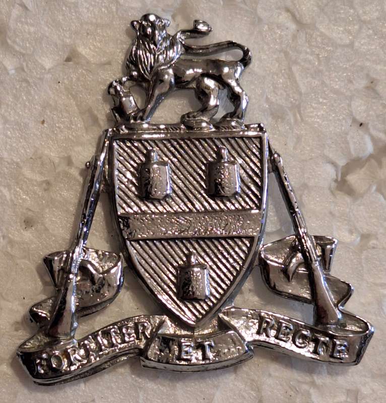 SADF - JOHANNESBURG REGIMENT CAP BADGE - SCREWS INTACT