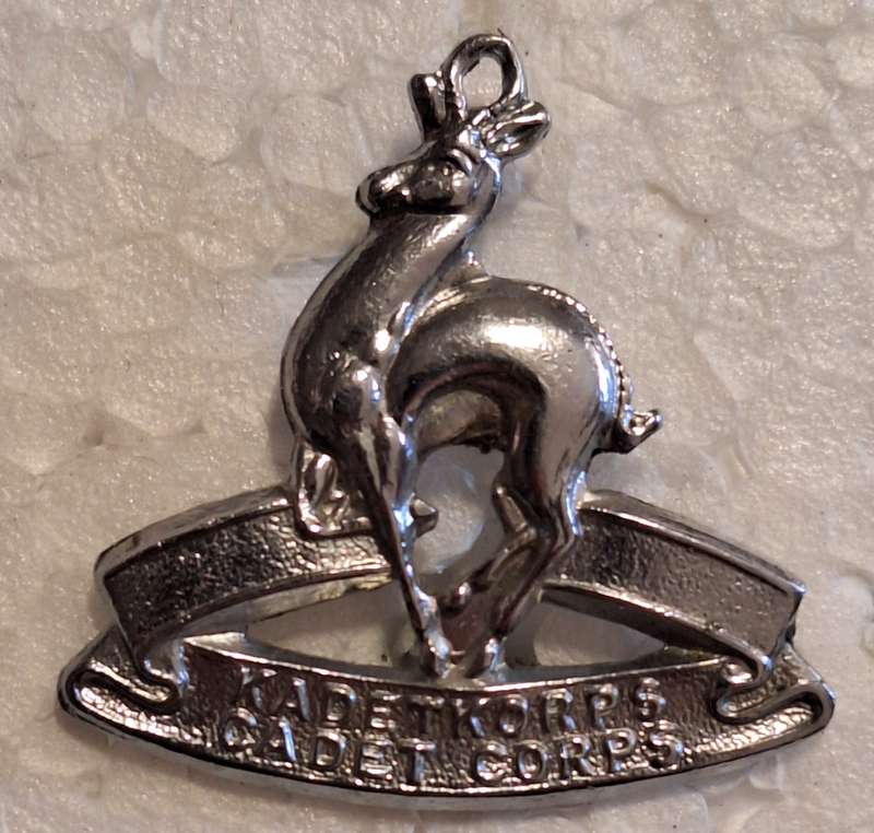 SADF - SCHOOL CADETS (SMALL TYPE) BERET BADGE - LUGS INTACT
