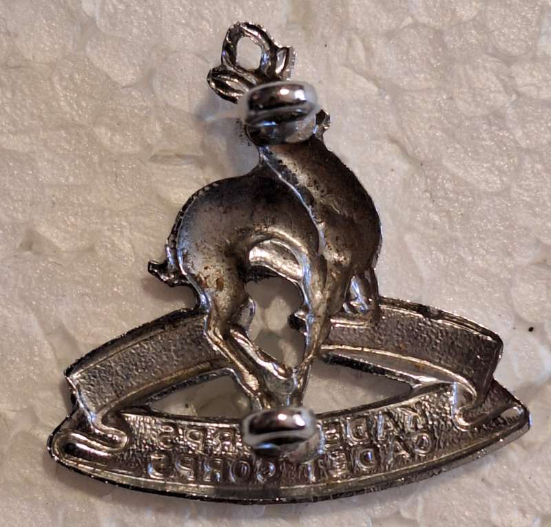 SADF - SCHOOL CADETS (SMALL TYPE) BERET BADGE - LUGS INTACT