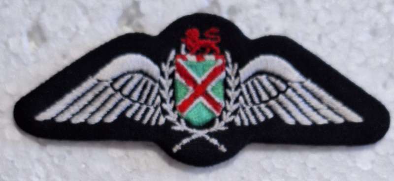 SAAF - EMBROIDERED COMMANDO PILOT WING - PINS INTACT