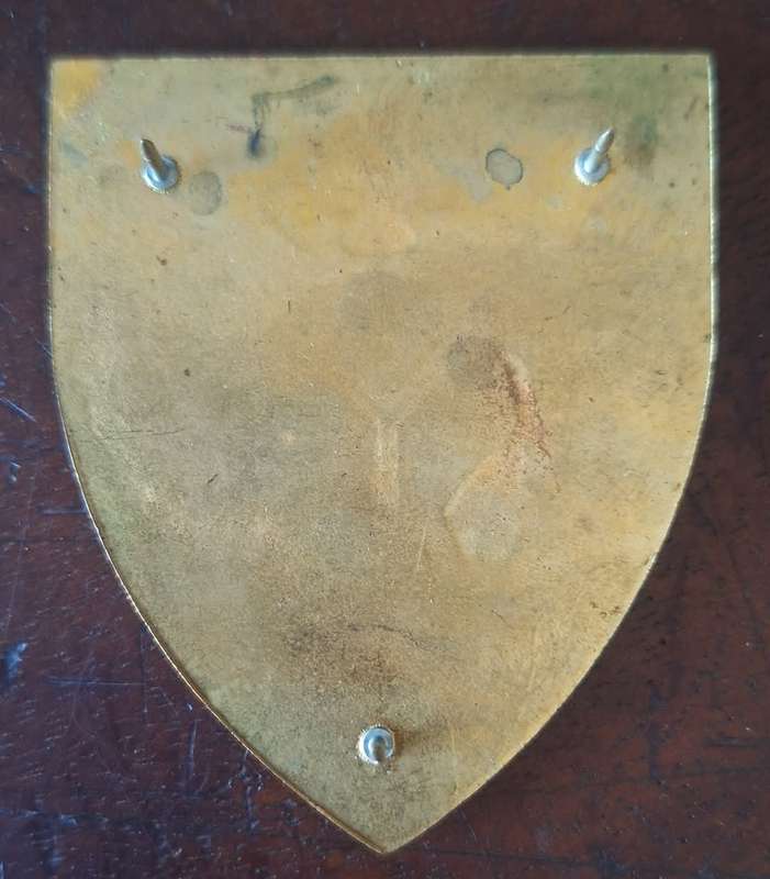 SADF - DEFENCE HQ SHOULDER FLASH - PINS INTACT