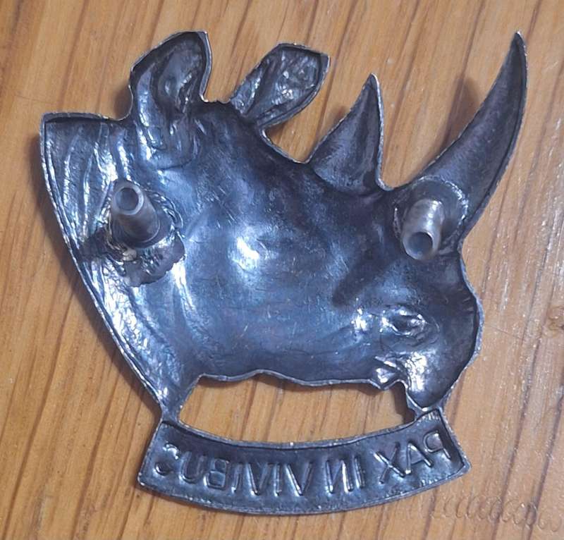 SWATF - 101 BN CAP BADGE - SCREWS  INTACT
