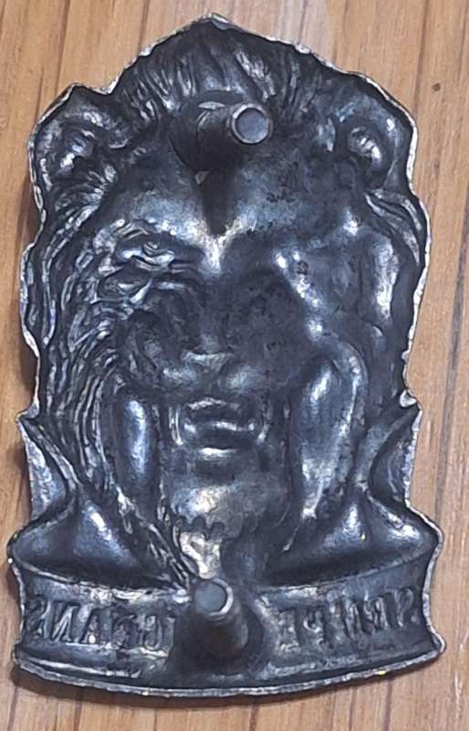 SWATF - TASK FORCE CAP BADGE - SCREWS INTACT