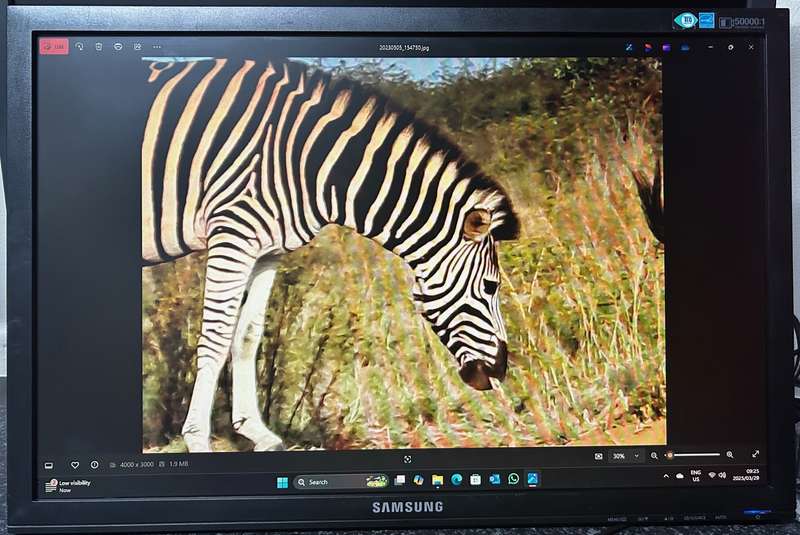 SAMSUNG 22" Wide LCD Monitor *NO STAND*