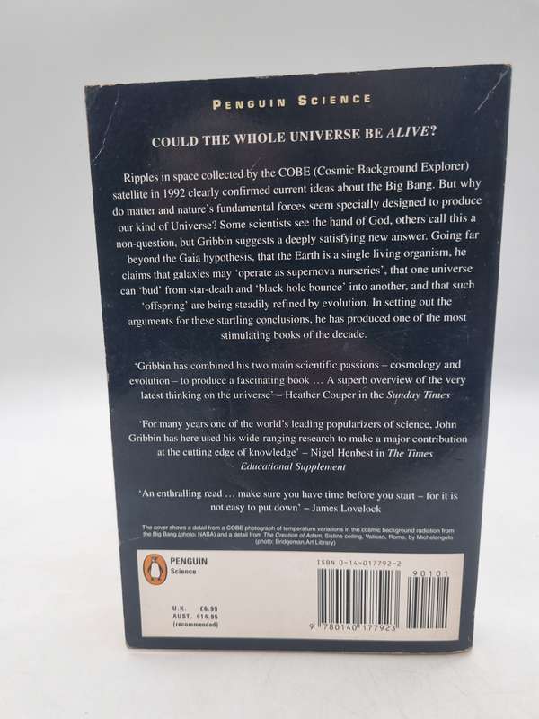 In the Beginning: The Birth of the Living Universe by John Gribbin