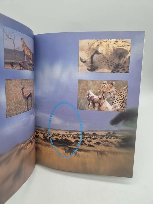 Supersense - Perception in the animal world by John Downer