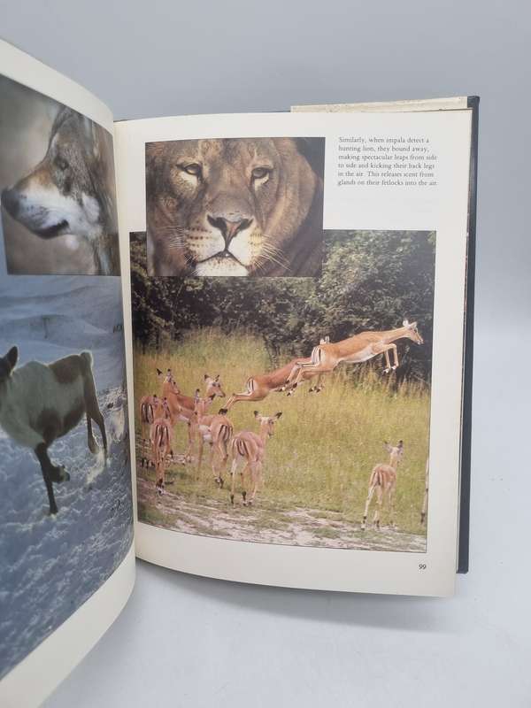 Supersense - Perception in the animal world by John Downer