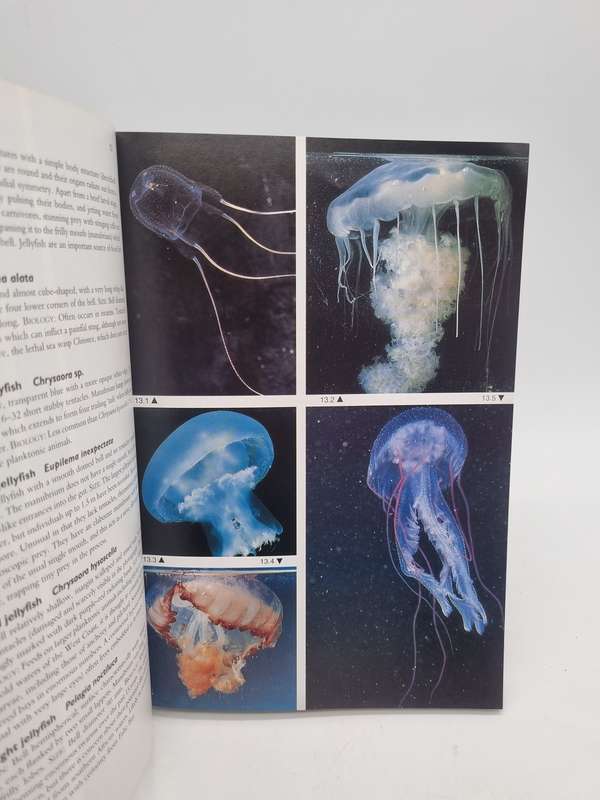 Two Oceans - G M Branch, C  L Griffiths | A Guide to the Marine Life of Southern Africa