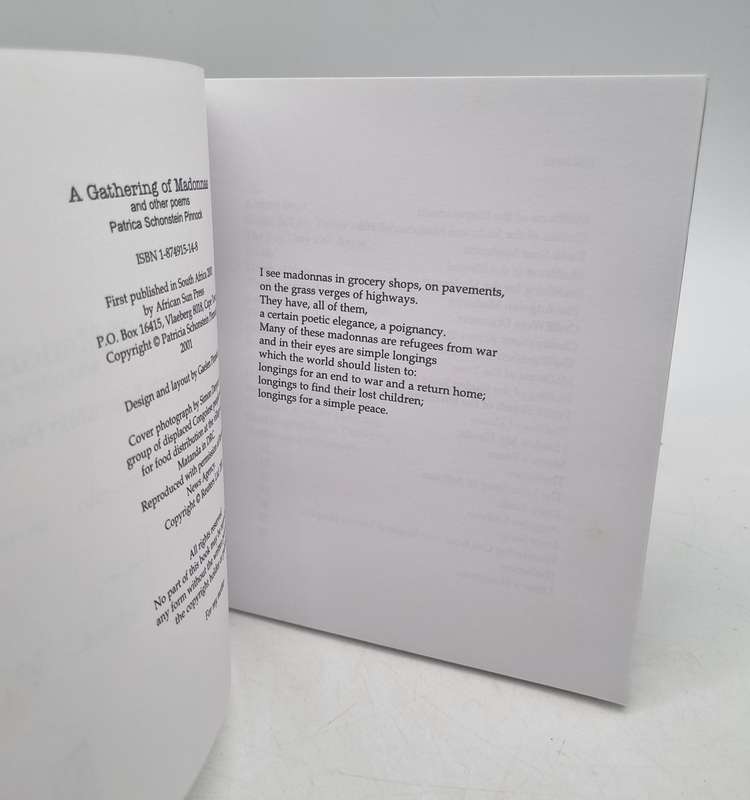 A Gathering of Madonnas and Other Poems ~ Patricia Schonstein Pinnock