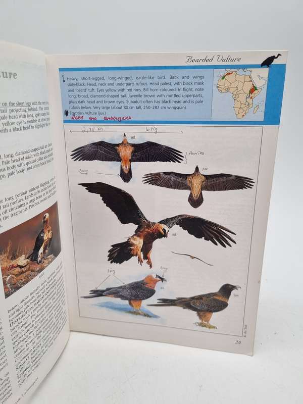 Sasol Birds of Prey of Africa and its Islands - Alan & Meg Kemp