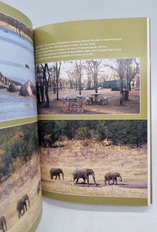 Beyond the Victoria Falls: Forays into Zambia, Zimbabwe, Botswana and Namibia by Gill Staden