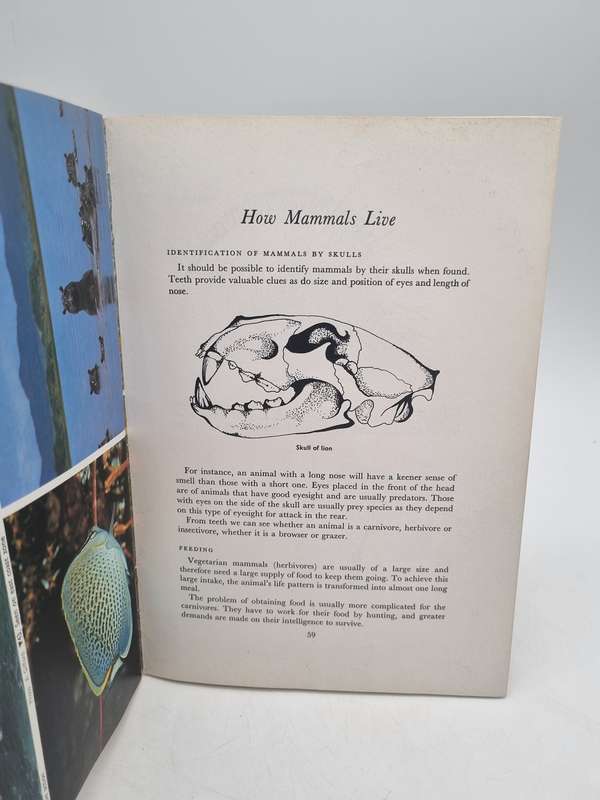 Walk Through the Wilderness - Clive Walker & Don Richards | Endangered Wildlife Trust 1986
