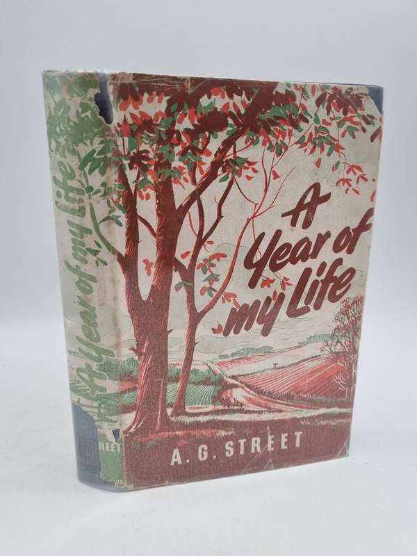 A Year of My Life by AG Street
