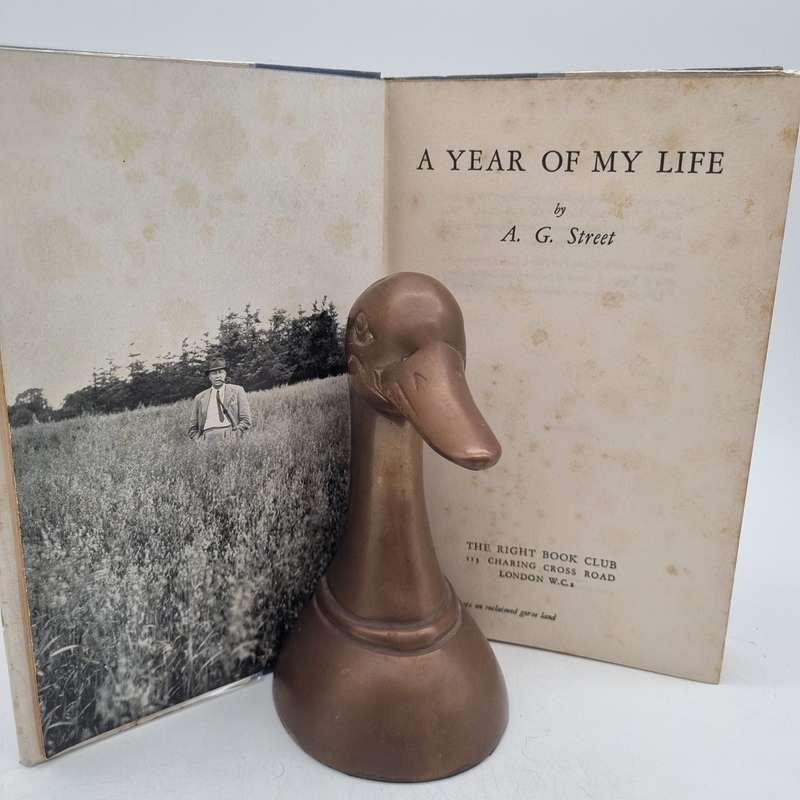 A Year of My Life by AG Street