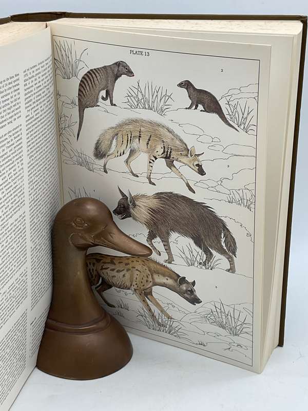 The Mammals of the Southern African Subregion by Reay Smithers | Signed Subscribers Edition