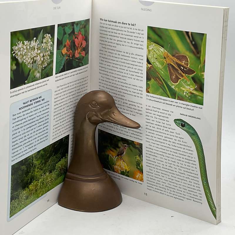 Lok Natuurlewe na jou Tuin in Suid-Afrika - Roy Trendler & Peter Chadwick
