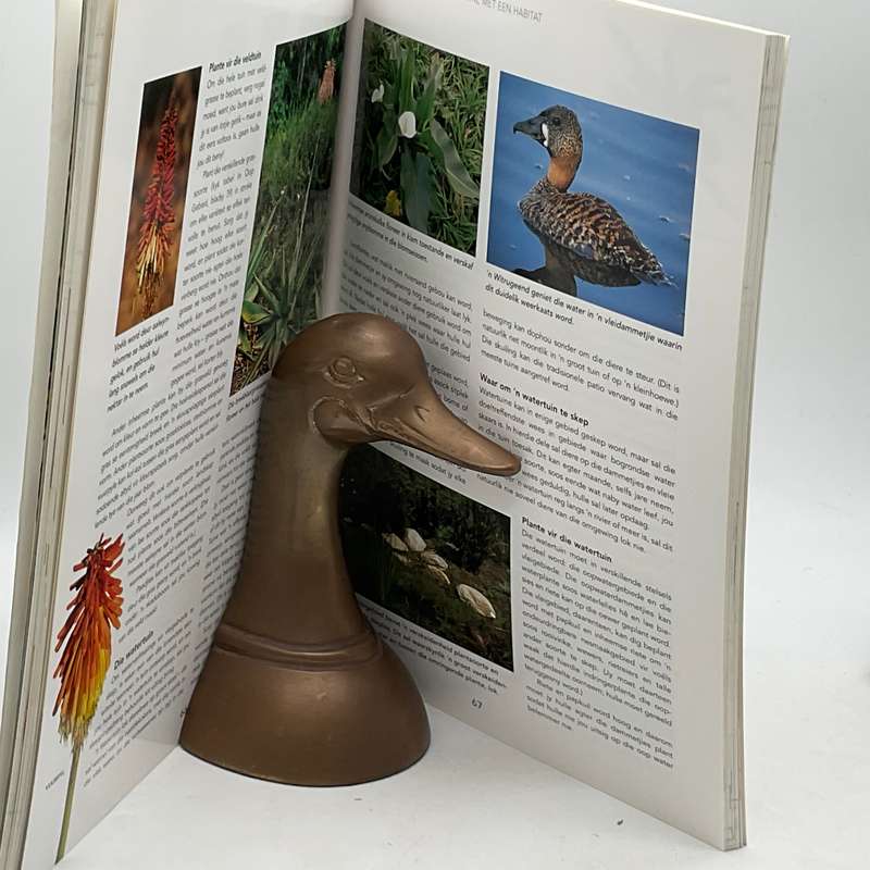 Lok Natuurlewe na jou Tuin in Suid-Afrika - Roy Trendler & Peter Chadwick