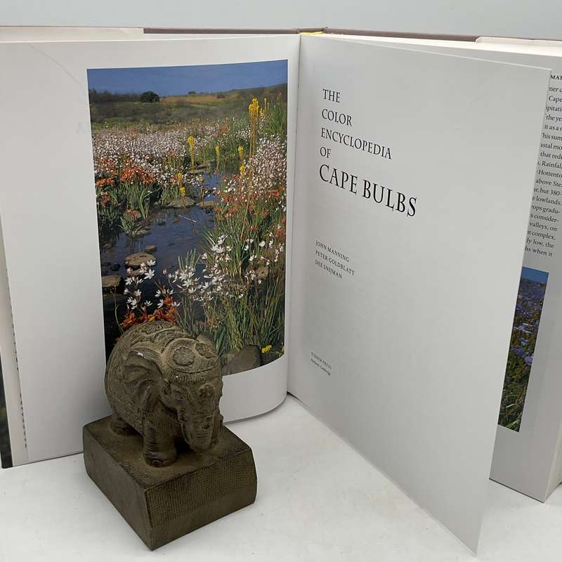 The Colour Encyclopedia of Cape Bulbs - John Manning, Peter Goldblatt & Dee Snijman