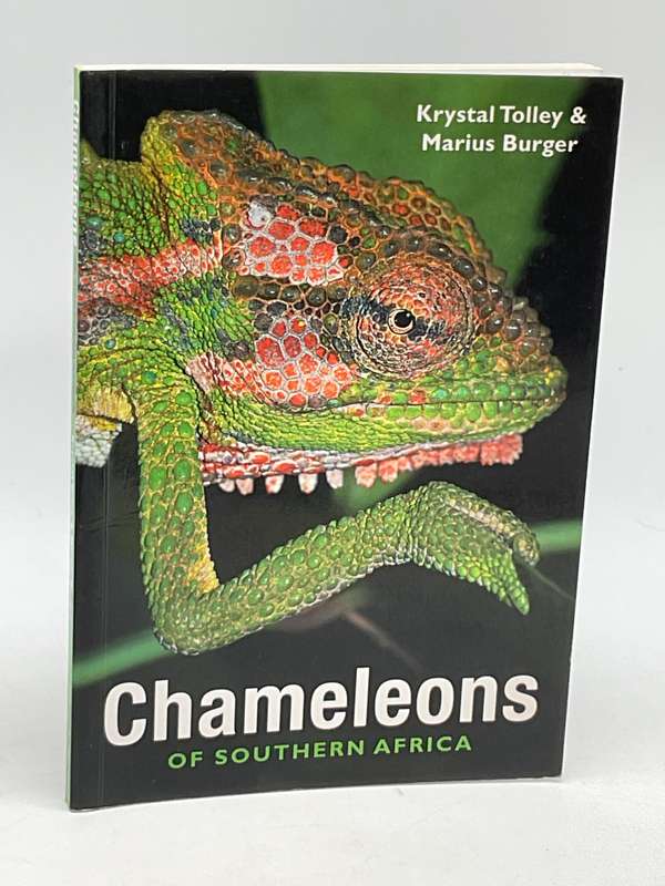 Chameleons of Southern Africa -  Krystal Tolley and Maarius Burger