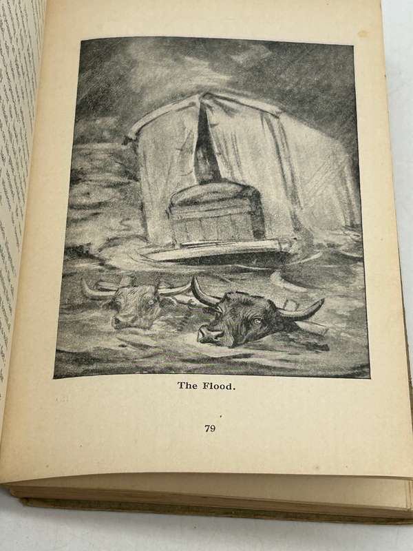 Biffel - The Story of a Trek Ox by Stanley Portal Hyatt