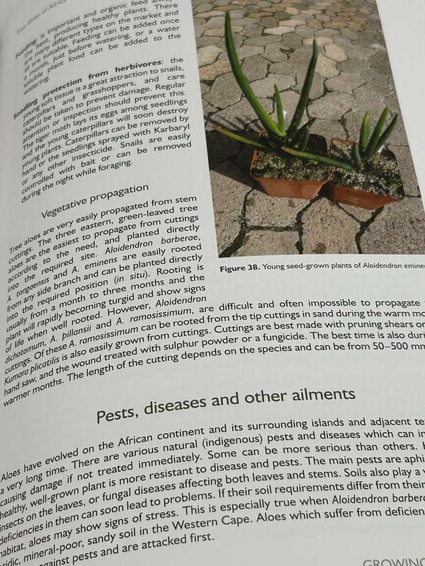 Tree Aloes Of Africa - Ernst Van Jaarsveld & Eric Judd | NEW