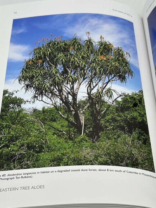 Tree Aloes Of Africa - Ernst Van Jaarsveld & Eric Judd | NEW