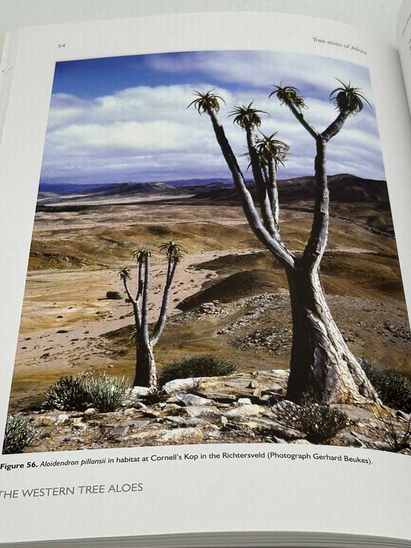 Tree Aloes Of Africa - Ernst Van Jaarsveld & Eric Judd | NEW