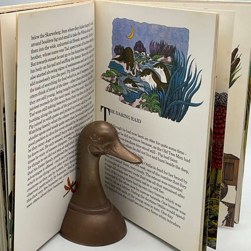 The Amazing Adventures of Pip - W O Kuhne | Pip in Otterland