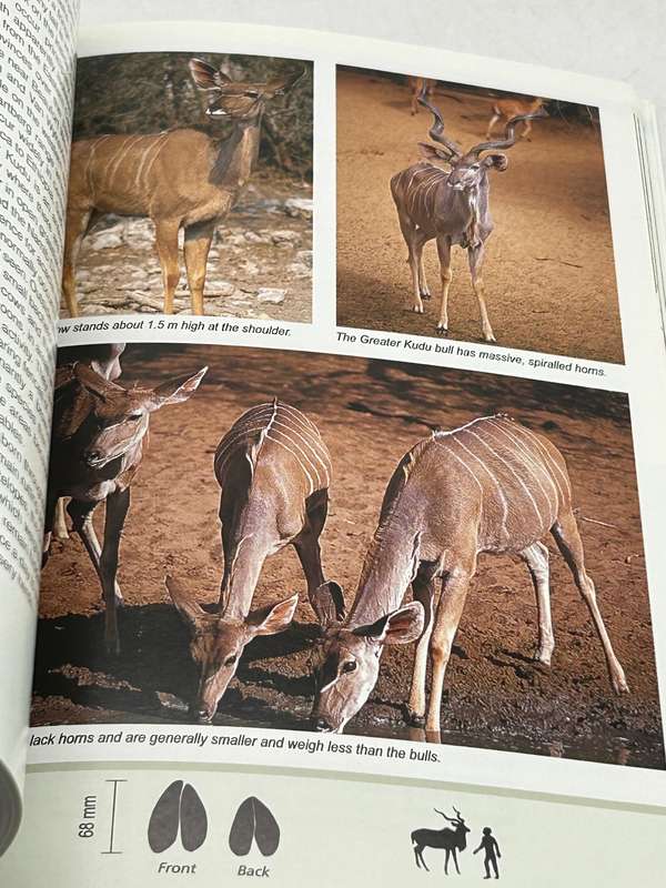 Field Guide to Mammals of Southern Africa - Chris Stuart & Tilde Stuart 2007