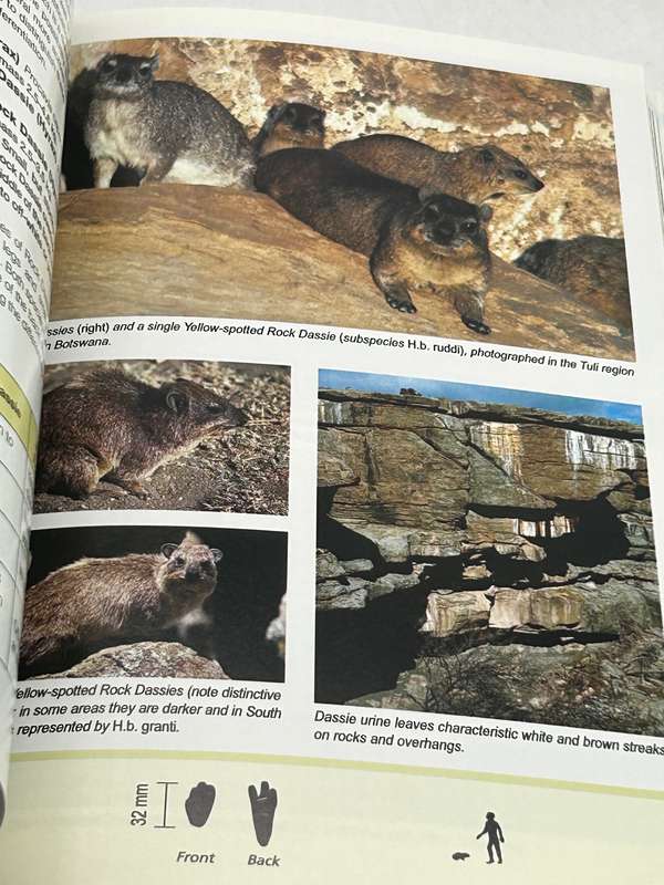 Field Guide to Mammals of Southern Africa - Chris Stuart & Tilde Stuart 2007
