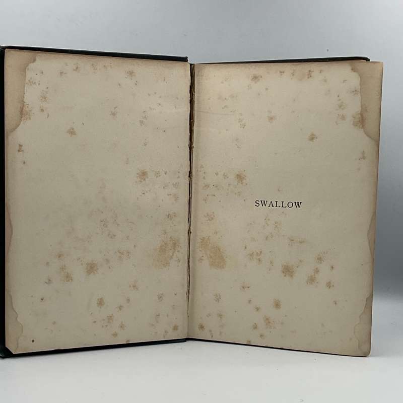 Swallow: A Tale of The Great Trek by Haggard H. Rider 1899
