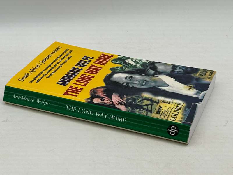 The Long Way Home by AnnMarie Wolpe